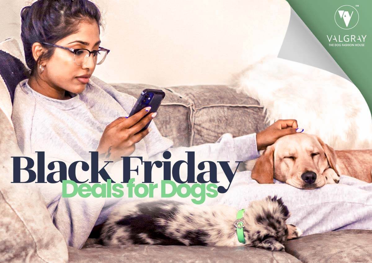 Valgray for Dogs premium dog accessory blog post image for 'Shop Black Friday South Africa designer dog accessories with Valgray for Dogs'