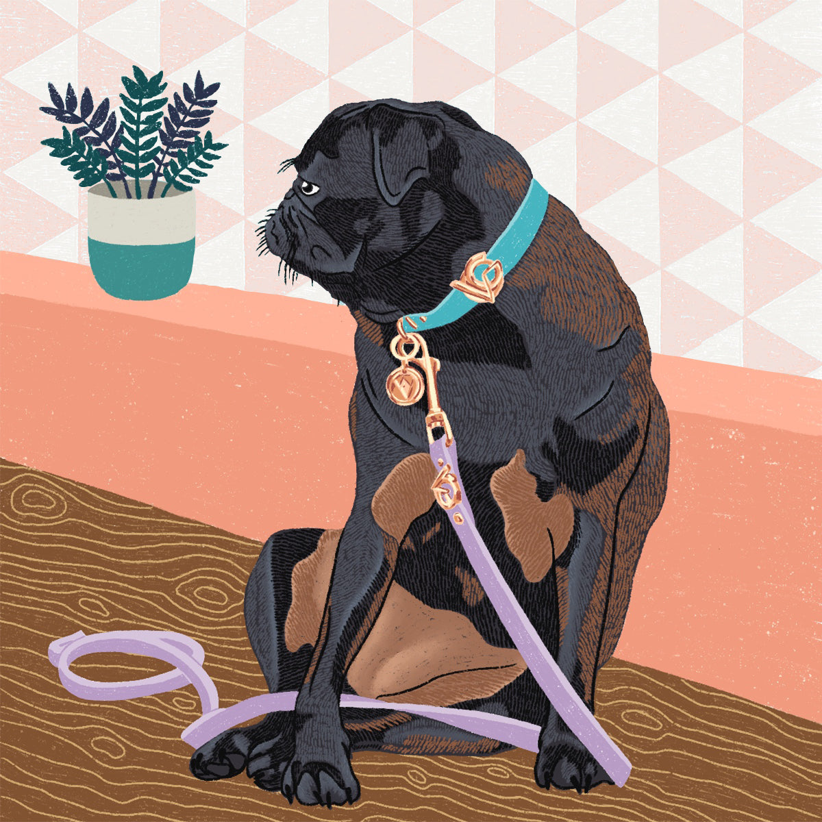 Digital art of a black pug resting against a wall on a minimalist background. The dog is wearing a proudly South African Valgray for Dogs turquoise blue, lilac purple and rose gold designer dog collar and leash set.