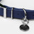 Valgray Splash Proof Adjustable Dog Collar, Dark Blue & Silver, Extra Large