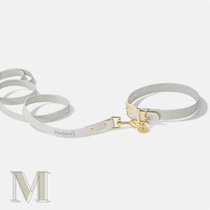 Medium bone grey & yellow gold premium dog collar and leash set.