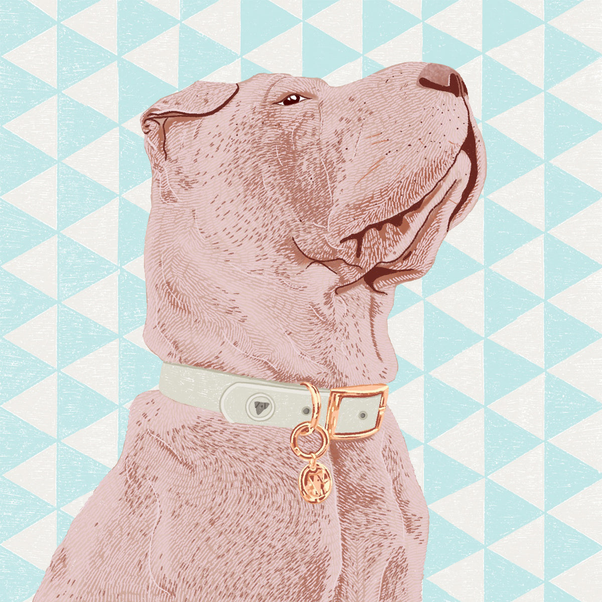 A digital portrait of Juno, a white Shar Pei, wearing a Valgray for Dogs luxury dog collar. The artwork shows Juno in a designer, 100% waterproof bone grey and yellow gold dog collar with tags on a blue patterned background.