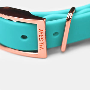 Valgray Premium Turquoise Dog Collar - Close Up Rose Gold Colour Plated Hardware