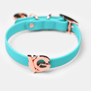 Valgray Premium Dog Collar for Small Dogs - Turquoise & Rose Gold - Top View