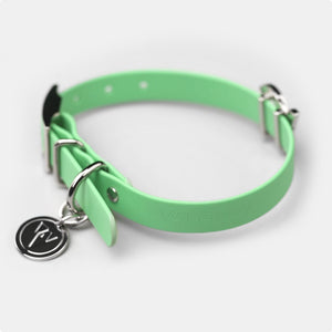 Valgray Premium Pistachio & Silver Dog Collar for Small Dogs - Tag On The Left