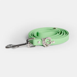 Valgray Splash Proof Dog Leash, Pistachio & Silver, Extra Small to Small