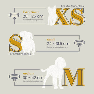Luxury accessories sizing guide & sizing chart for extra small, small and medium dog collars.