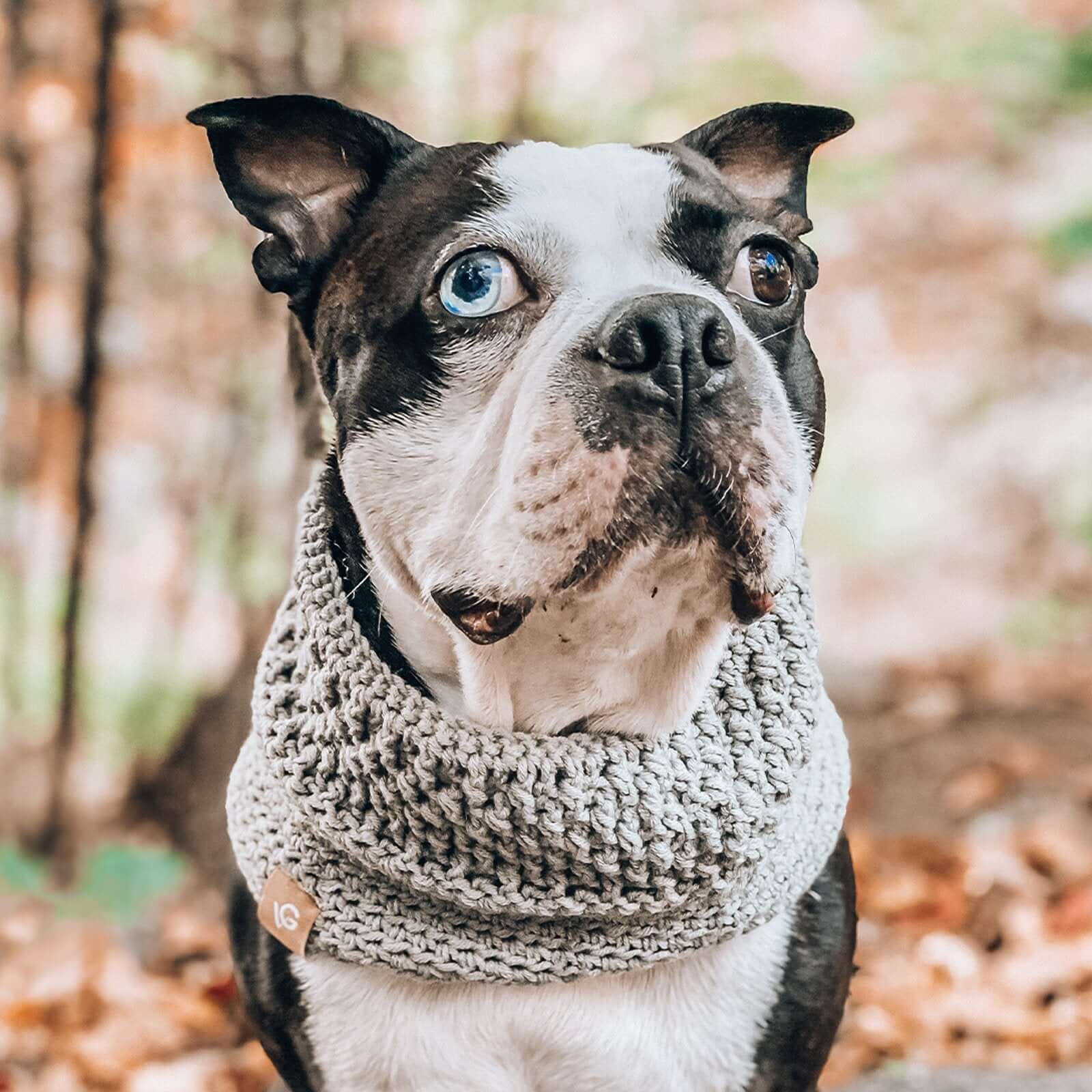 Pepper grey luxury handcrafted dog snood