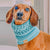 Ocean blue luxury handcrafted crochet dog snood.
