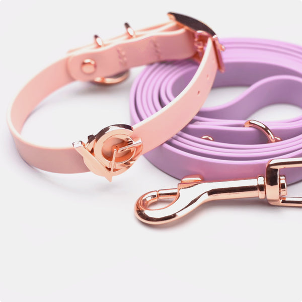 ACE Designer Dog Collar and Lead set in Rose Gold by ™ in British Dog  Collar Collection, Designer Dog Collars and Leads